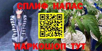 Альфа ПВП Кандалакша