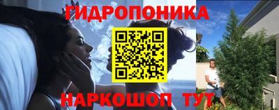 Альфа ПВП Кандалакша
