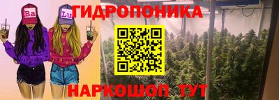 Альфа ПВП Кандалакша