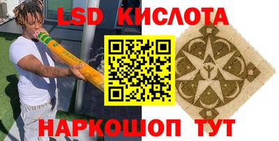 Альфа ПВП Кандалакша