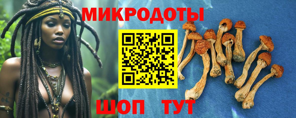 Псилоцибиновые грибы прущие грибы  Вход с VPN  Ялта  Псилоцибиновые грибы мухоморы 